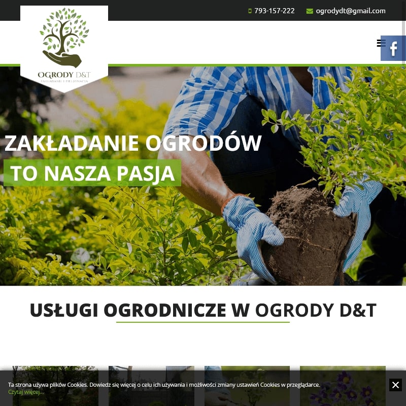 Usługi ogrodnicze w Warszawie